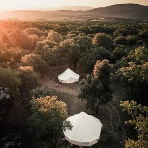 Tente de luxe Lodg'ing Nature Camp Luberon, Saint-Michel-lʼObservatoire