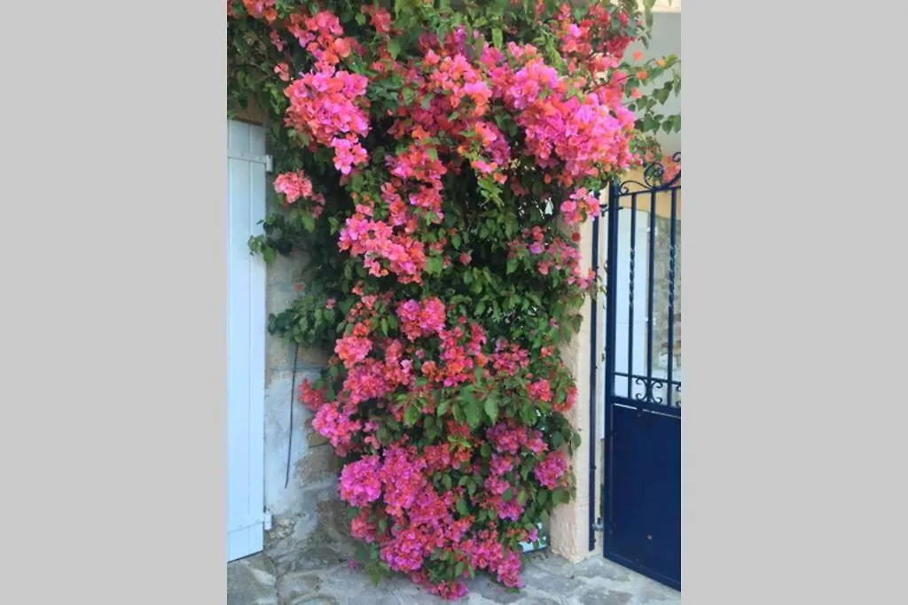Villa Coco Beach Le Lavandou